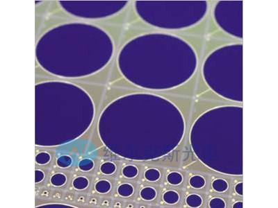 LC双波长高量子效率光电探测器